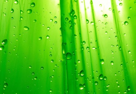 Green - abstract, raindrops, water, beautiful, green, drops, drops of water