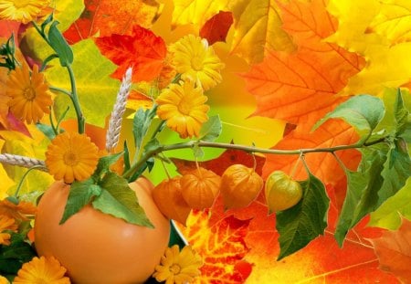 Abundance of Fall Colors - yellow, oranage, harvest, grass, gourd, leaves, flowers, wheat, seeds, gold, fleurs, pumpkin, fall, oats, green, autumn, bright, squash