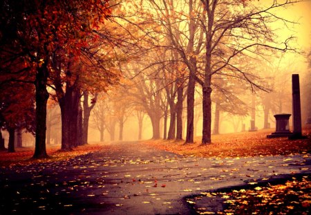 AUTUMN PARK - path, trees, fog, rain, utumn, park, leaves