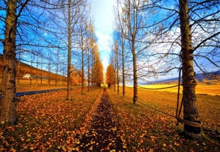 AUTUMN ALLEY - trees, alley, road, autumn