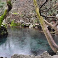 rain on a rocky pond