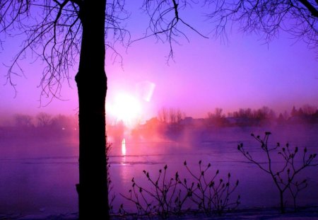 wonderful purple morning on the river - purple, river, tree, sunrise, mist