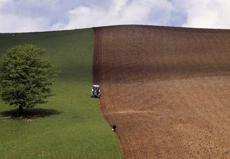 perfect spring ploughing - hill, tractor, fields, tree, ploughing