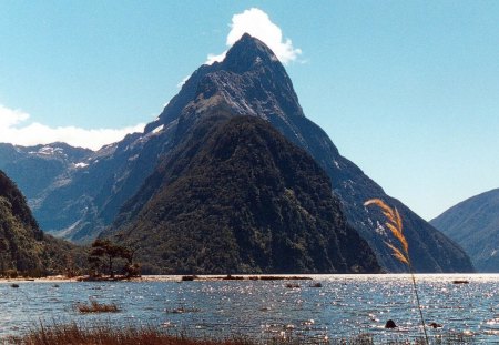 Mitre Peak Nueva Zelanda - zelanda, nueva, peak, mitre