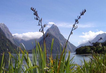 Milford Sound Mitre Peak Nueva Zelanda - nueva, milford, zelanda, mitre, peak, sound