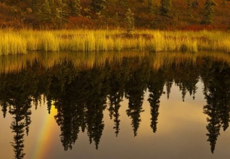 Nugget Lake - trees, water, yellow, landscape, forest, reflection, daylight, leaves, mountain, nature, rainbow, land, lake, day