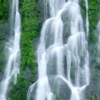 Gifford Pinchot National Forest