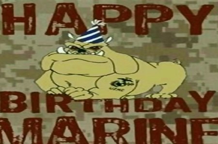 Happy Birthday Marines - usmc, usa, marines, recon