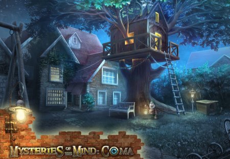 Mysteries Of The Mind COMA02 - video games, fun, games, hidden object