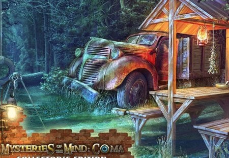 Mysteries Of The Mind COMA03 - video games, fun, games, hidden object