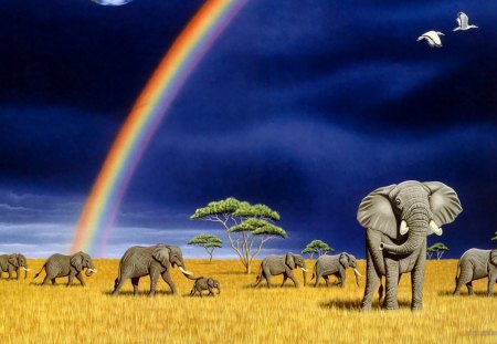 elephants and rainbows - elephants, rainbows, and, animals