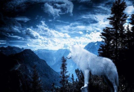 Dreams - wolf, sky, abstract, trees, animals, mountains, fantasy