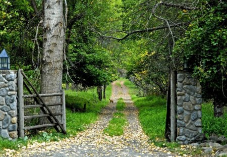 *** Gateway to ...*** - path, gateway, trees, nature, park