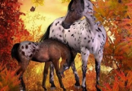 Autumn horses - horses, image, animals, autumn