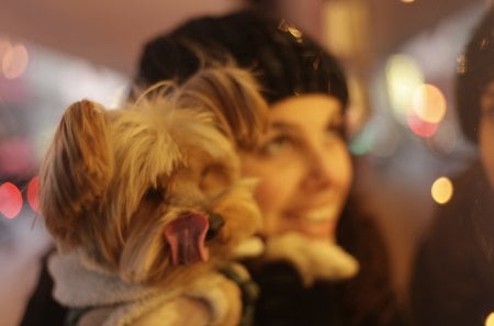 Precious time of yearâ™¥ - together, animals, happy, precious, love, year, girl, christmas, time, forever, pets, dogs, smile