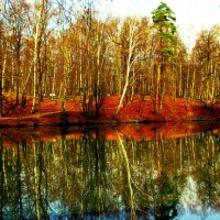 AUTUMN MIRROR