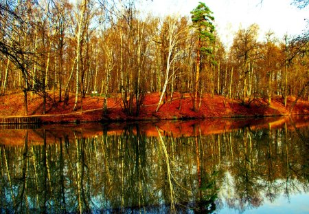 AUTUMN MIRROR - the sky, nature, trees, reflection, falling leaves, park, pond