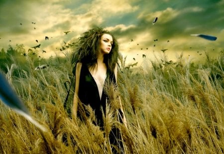 GIRL in the FIELD - field, feathers, girl, birds