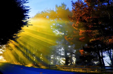 AUTUMN SUNBURST - morning, road, landscape, light, autumn