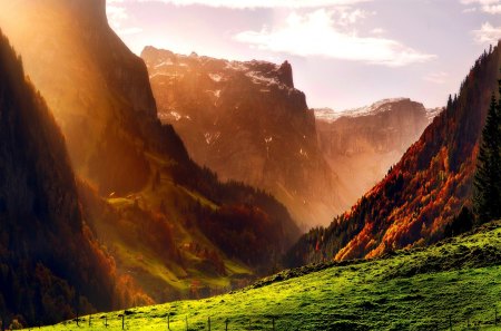 THE MOUNTAINS - alps, autumn, forest, mountains, switzerland