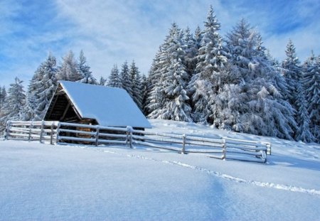 Shelter - winter, sky, snow, day