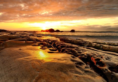 GOLDEN SUNSET - sky, landscape, beach, sunset, sea