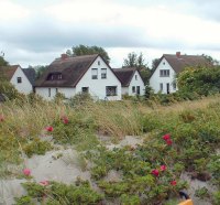 Fishermens houses in the dunes