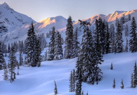 Winter Morning in the North Cascades, Washington - morning, sky, trees, daylight, day, sun, winter, mountains, nature, white, forest, cold, clouds, snow, smooth