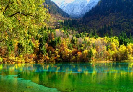 Reflections in green lake - pretty, calm, reflections, tranquil, mountain, shore, riverbank, lake, nice, emerald, trees, beautiful, snowy, lovely, peaks, lakeshore, slopes, river, nature, autumn, serenity