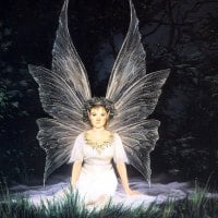 Fairy angel