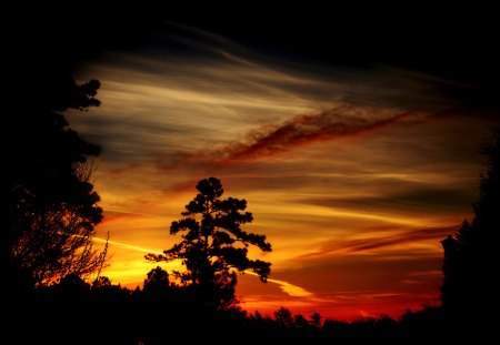 Sunset sky - sky, nature, sunset, sunrise