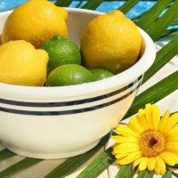 *** Lemons in a bowl ***