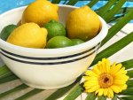 *** Lemons in a bowl ***