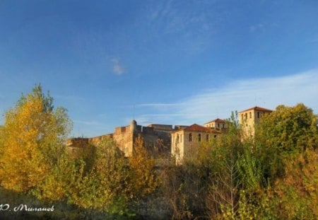 Baba Vida fortress - trees, photo, fall, photogrphy, historical, nature, autumn, fortress, sky, bulgaria