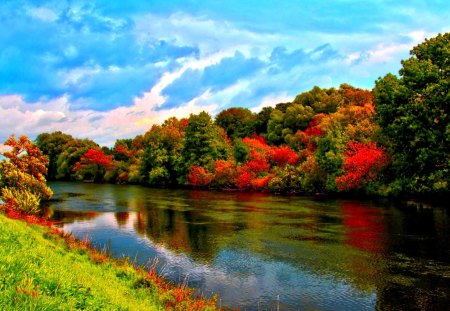 AUTUMN RIVER - season, nature, autumn, forest, river