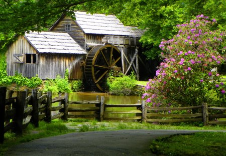 Mabry mill - nice, trees, greenery, water, wheel, creek, calm, pretty, calmness, river, green, mabry mill, grass, pond, water mill, branches, lake, fence, bush, summer, mill, lovely, serenity, nature, floral, forest, lonely, beautiful, flowers