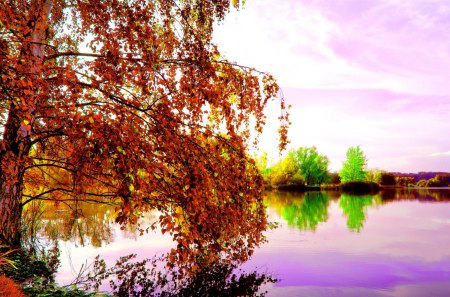 AUTUMN LAKE - birch, lake, autumn, forest