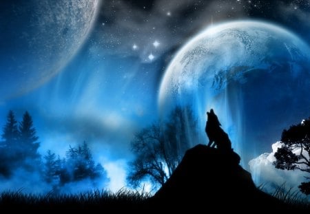 The Lone Wolf - moon, night, wolf, scenery