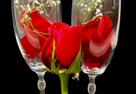 *** Red roses hidden in glasses *** - nature, roses, glass, red, flowers, flower