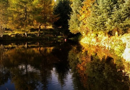 Little lake reflections - water, lake, trees, reflection