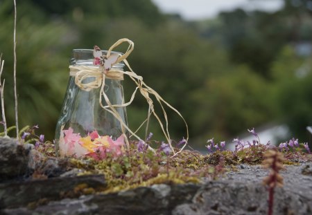 Delicacy and Graceâ™¥ - love, delicacy, field, simple, wonderful, nature, tiny, butterfly, purple, forever, bow, pink, arrangement, ribbon, flowers, lovelyness