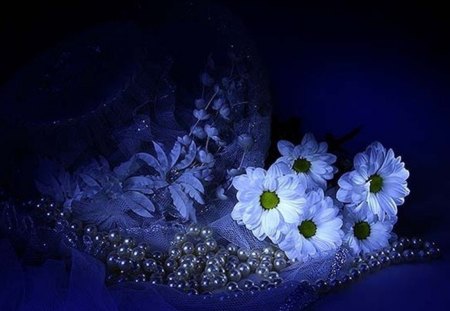 beautiful decoration - daisies, flowers, beauty, deep blue, pearl