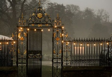 a festive illuminated door - evening, wrought, door, lamps, iron, lights