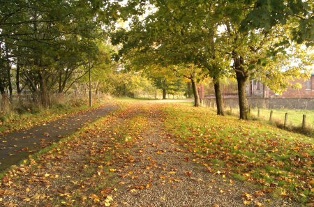 October - leaves, autumn, path, october