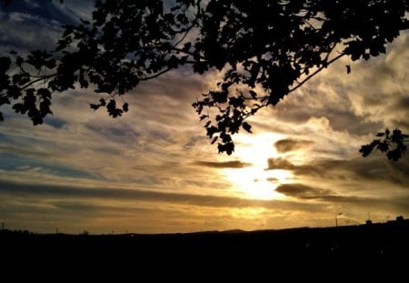 Autumn sunset - silhouette, warm, clouds, sun