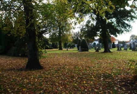 Cemetery in Autumn - warm, cemetery, trees, autumn, leaves