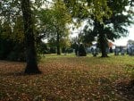 Cemetery in Autumn