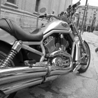 Harley Davidson