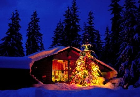 Christmas Scene - christmas village, christmas house, christmas at night, christmas scene