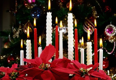 Christmas Candelabra - christmas candles, christmas, candelabra, candles, christmas candelabra